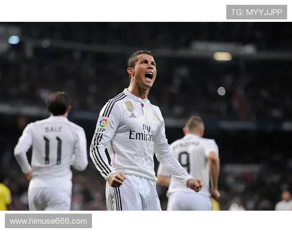 足球明星个人主页设计与开发全攻略，展示球技与风采的完美结合